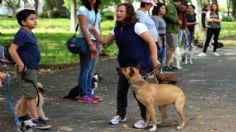 Esteriliza a tu perro o gato GRATIS este fin de semana en la CDMX; conoce cómo y dónde hacerlo