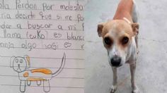 Niña pierde a su perrito, hace un cartel muy tierno para encontrarlo y se viraliza en redes