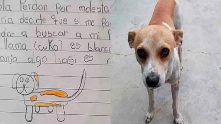 Niña pierde a su perrito, hace un cartel muy tierno para encontrarlo y se viraliza en redes