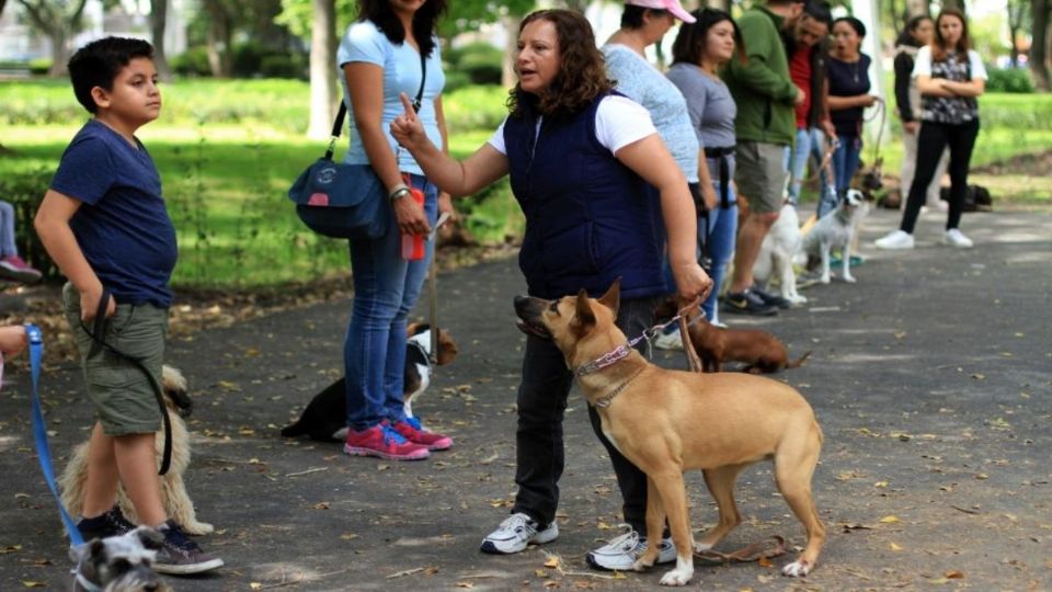 El evento se realizará en la alcaldía Magdalena Contreras. FOTO: ESPECIAL