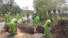 CDMX apoya a Veracruz en labores de limpieza, tras el paso del huracán "Grace"