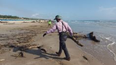 Levantan 380 toneladas de desechos en playa de Miramar, Tamaulipas