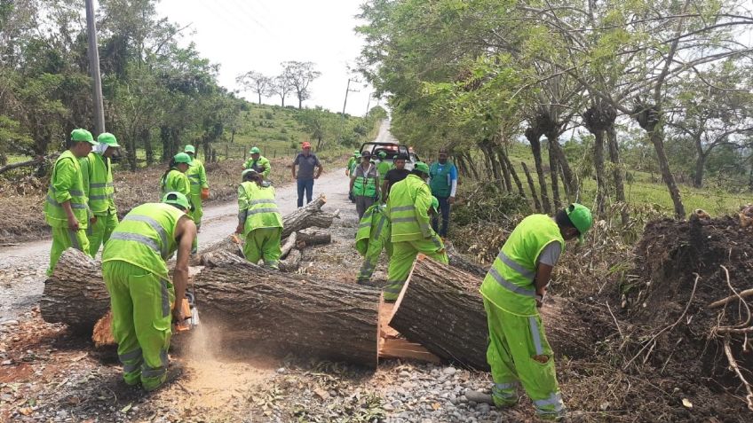 CDMX apoya a Veracruz en labores de limpieza, tras el paso del huracán "Grace"