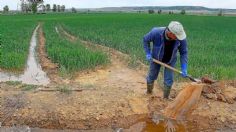 Pactan apoyo a la agroindustria