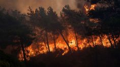 VIDEO: Detienen a turba que quería linchar a sospechoso de iniciar incendios forestales