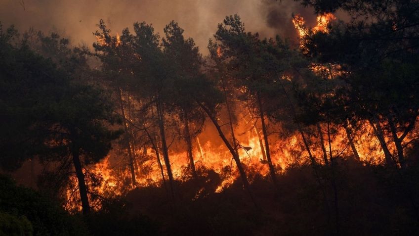 VIDEO: Detienen a turba que quería linchar a sospechoso de iniciar incendios forestales