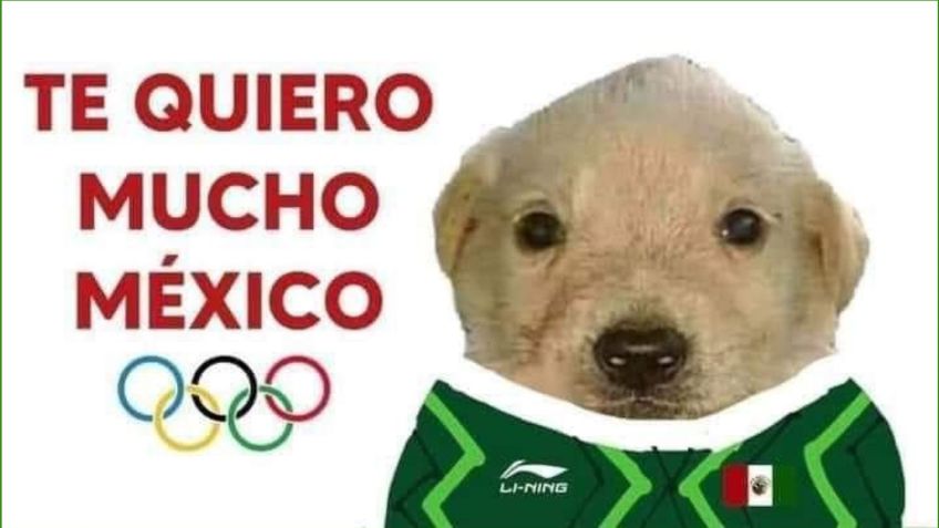 "Te quiero mucho": El origen del MEME del perrito que le mandó amor a los atletas mexicanos en Tokio 2020