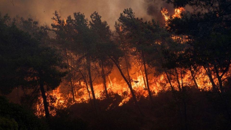 Las olas de calor han incrementaron los focos activos. Foto: Especial.