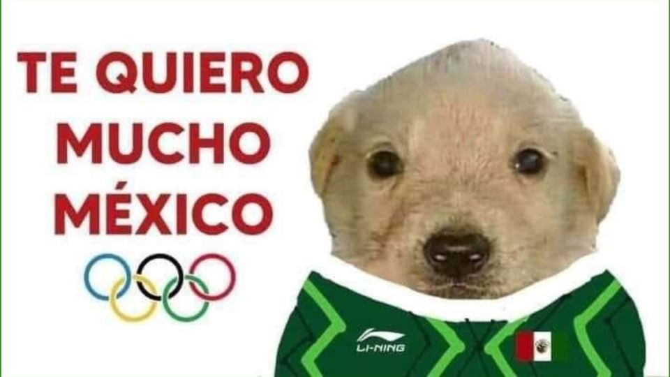 Este es el origen del meme  meme del perrito 'Te quiero mucho'. Foto: Twitter