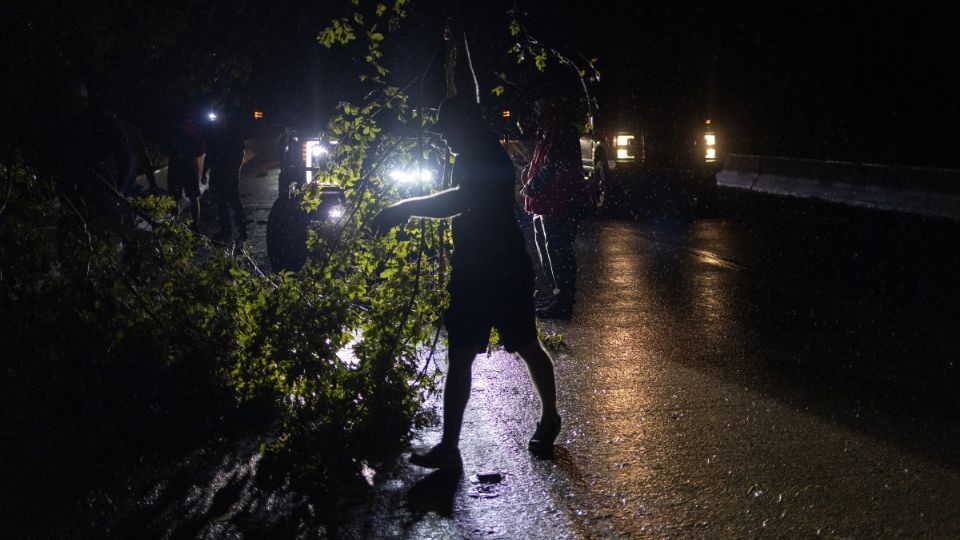 Una persona murió por la caída de un árbol en la localidad de Prairieville. Foto: Reuters