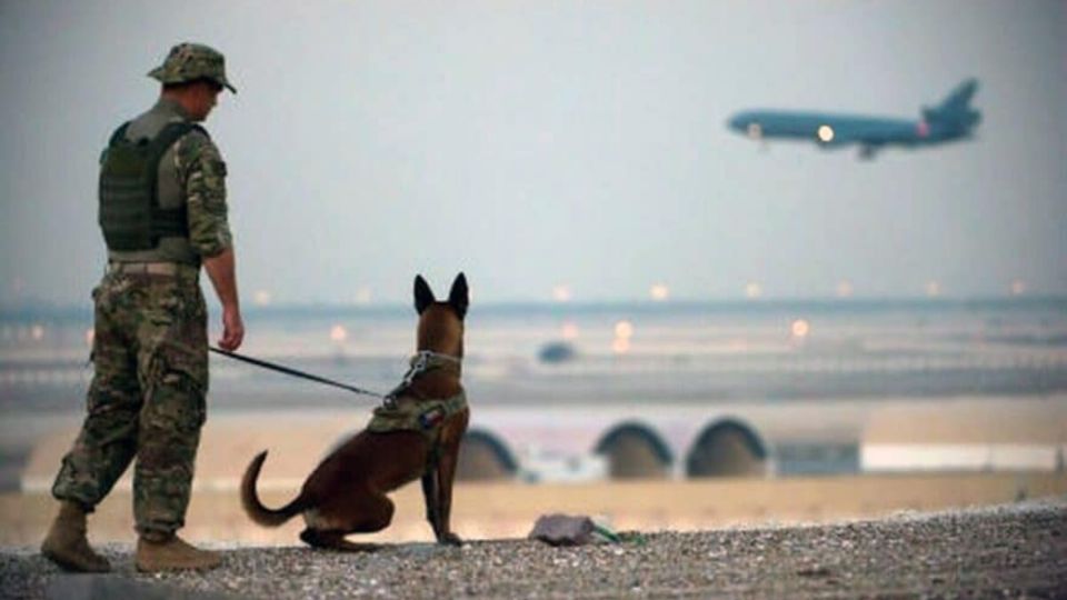 Durante la ocupación, Estdos Unidos contrató perros militares para apoyar en labores de rescate y protección. Foto: FB Sada-e Azadi