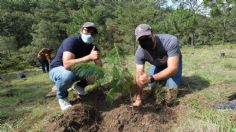 Plantarán 15 mil árboles en Bosque de la Primavera en Jalisco; ciudadanos pueden participar en la reforestación