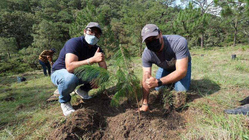 Plantarán 15 mil árboles en Bosque de la Primavera en Jalisco; ciudadanos pueden participar en la reforestación