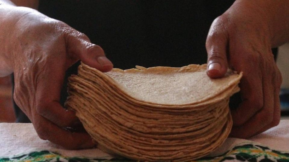 El presidente del Consejo rector de la Tortilla Tradicional Mexicana, señaló que además la situación podría provocar un encarecimiento de la tortilla. FOTO: ESPECIAL