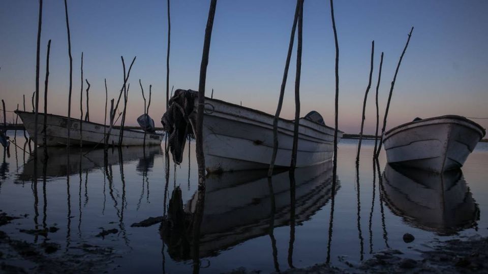 Inapesca entregó 89% de los convenios a través de la adjudicación directa. Foto: Cuartoscuro
