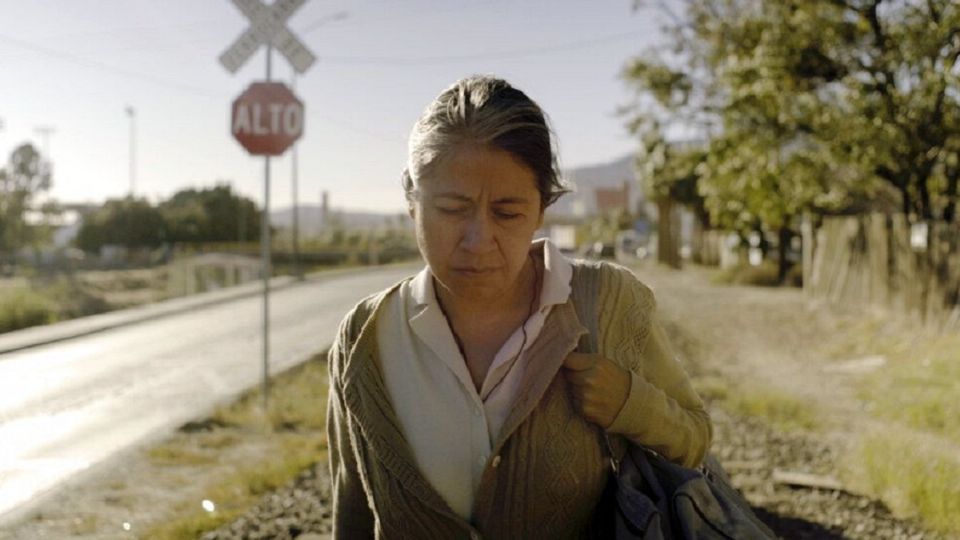 Antes de ser actriz, Mercedes Hernández dio clases y fue activista, hasta que un día decidió estudiar actuación. Foto: Especial