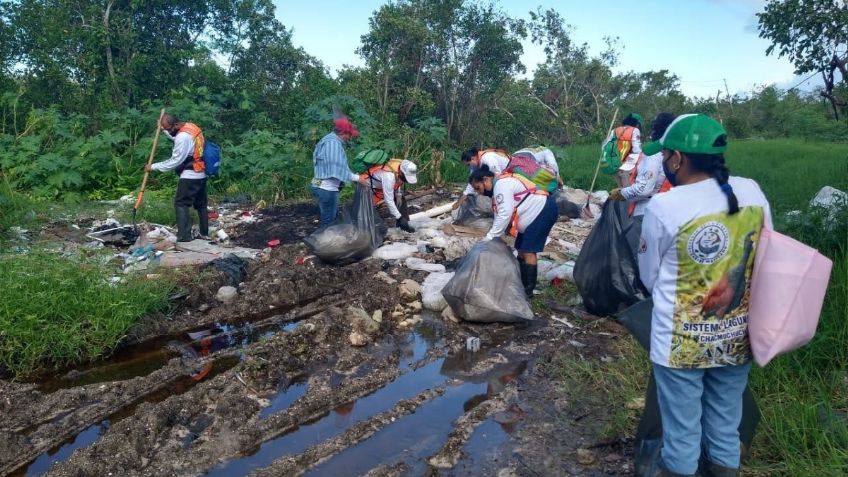 Sistema Lagunar Chacmochuch en Quintana Roo: una reserva convertida en basurero