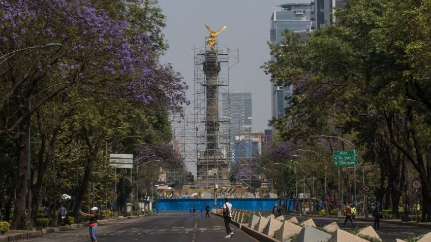 México empeora en cobertura de vacunación contra sarampión en Índice de Competitividad: IMCO