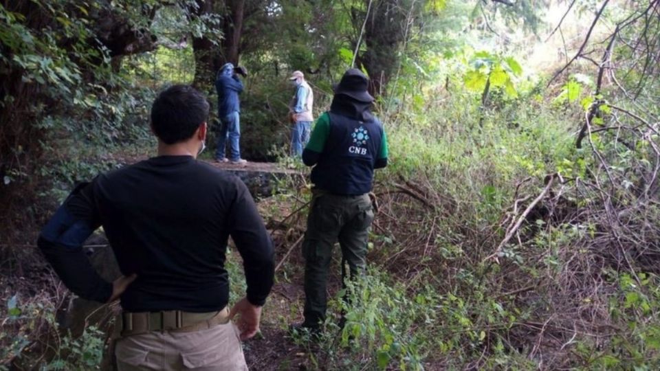 En el Sauz en Celaya, solo se han identificado 2 de los 31 individuos encontrados. FOTO: ESPECIAL