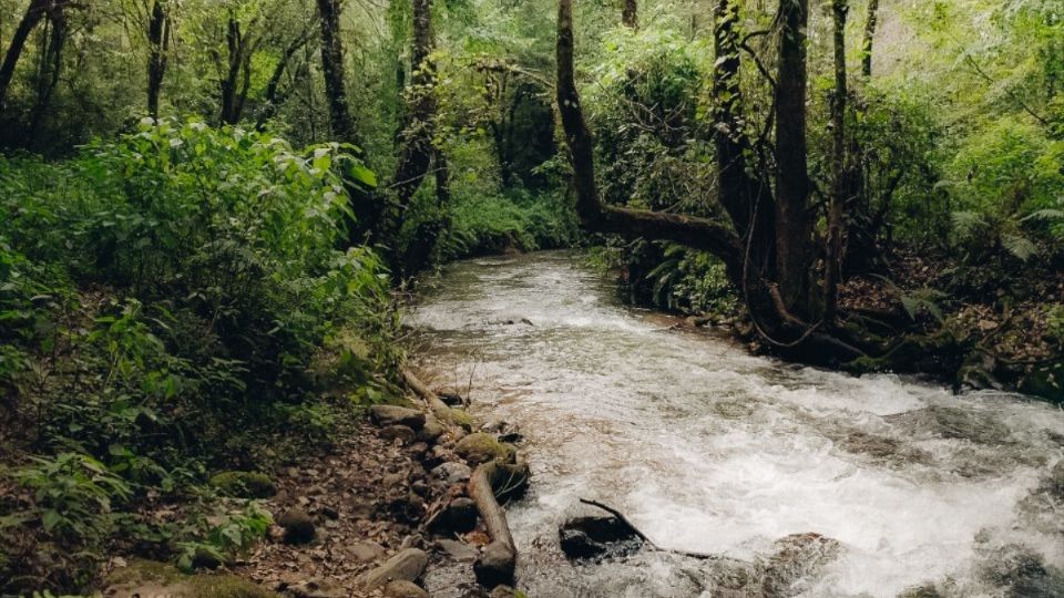 La primera etapa del proyecto Parque Natural La Cañada contempla el diseño participativo de las voces, experiencias y propuestas de distintos grupos.