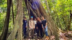 Facundo y su familia son atacados por 'extrañas' abejas en la Selva Lacandona