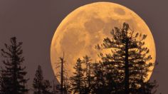 Luna de Maíz: Cuándo y dónde ver este espectáculo natural visible en México