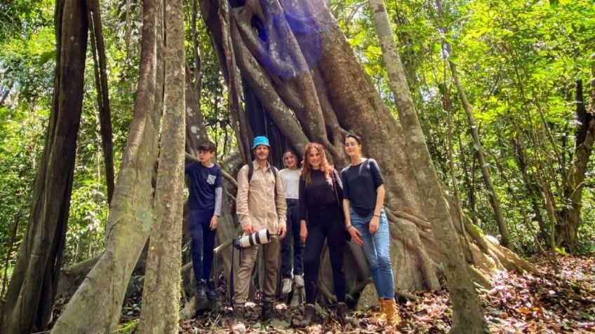 Facundo y su familia son atacados por 'extrañas' abejas en la Selva Lacandona