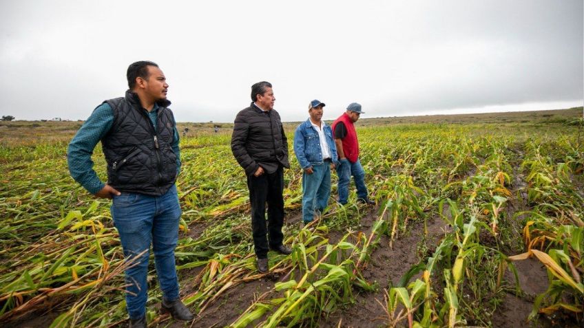 David Monreal solicita Declaratoria de Emergencia para Genaro Codina y Cuauhtémoc