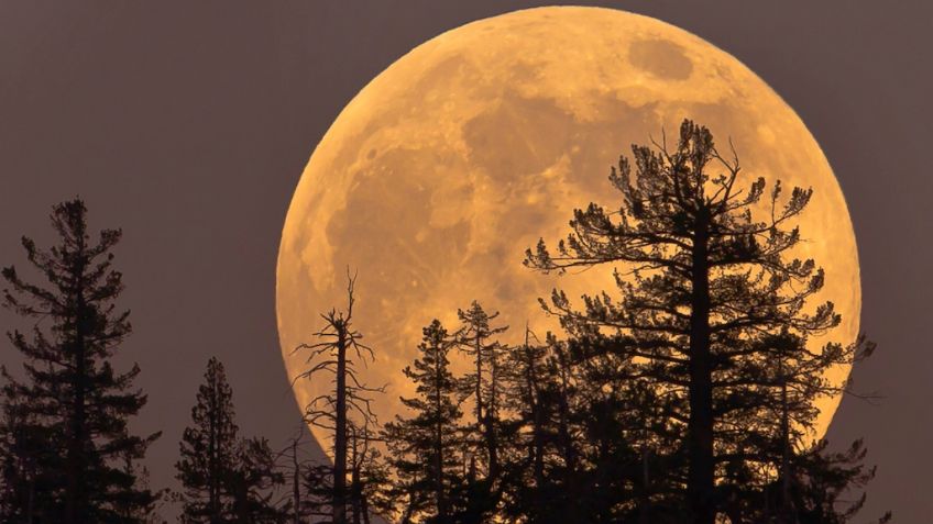 Luna de Maíz: Cuándo y dónde ver este espectáculo natural visible en México