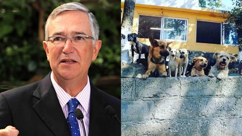 Ricardo Salinas ofrece pagar “el doble de lo recaudado” para ayudar al albergue Milagros Caninos