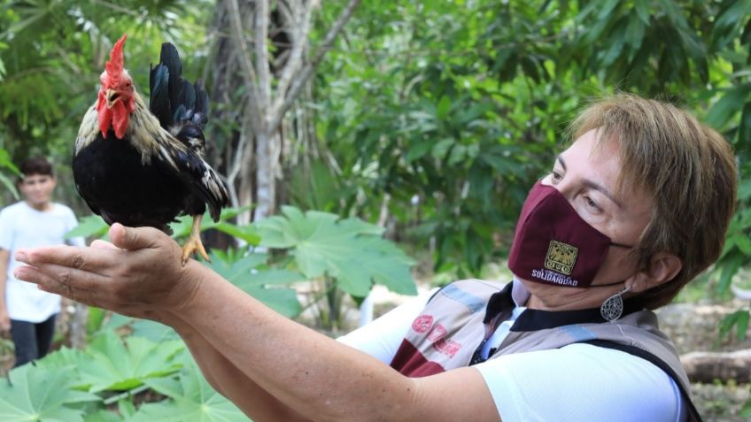 Reciben productores locales apoyo sin precedentes del Gobierno de Solidaridad en Quintana Roo