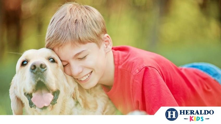 ¿Tu hijo quiere tener un perro? 4 Tips para elegir la mascota ideal para niños