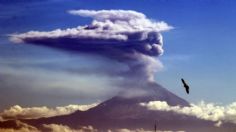 Popocatépetl registra nueva explosión; ¿Qué pasa si el volcán hace erupción?