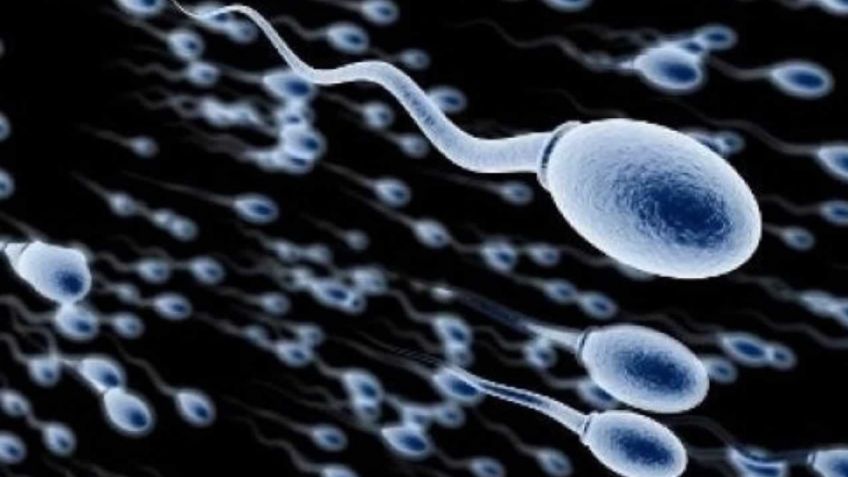 Hombres producen menos espermatozoides y alertan por crisis de fertilidad