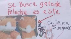 Niña ofrece tierna recompensa por recuperar a su peluche "bebé jaguar": VIRAL