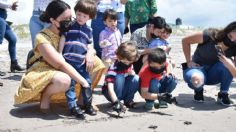 Inicia la temporada de liberación de tortugas marinas en Elota, Sinaloa