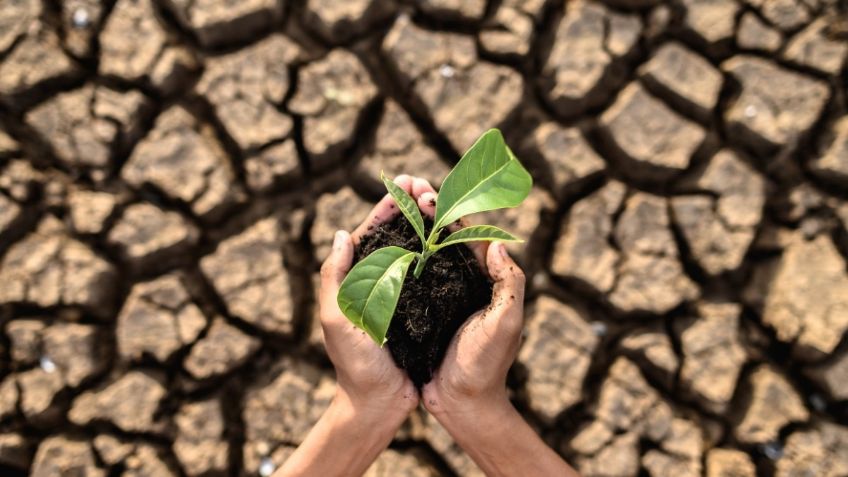 Cambio climático: Nuevas generaciones vivirán siete veces más olas de calor