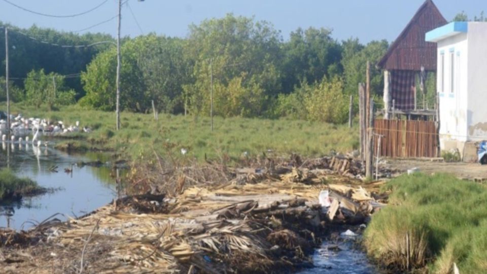 Activistas señalaron que la construcción se inició sin estudio de impacto ambiental (Foto: Especial)