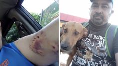 ¡Héroe canino! Rescata a perrita callejera que lo mordió y se vuelve VIRAL