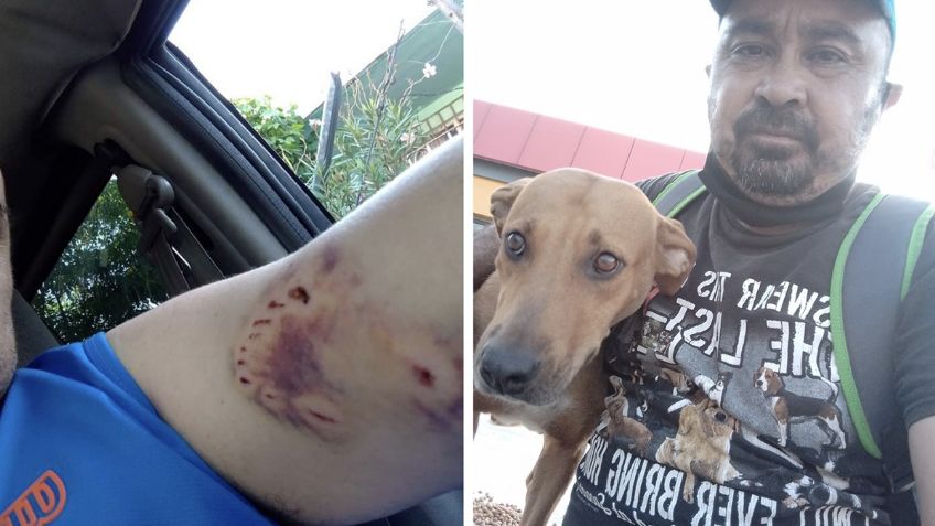 ¡Héroe canino! Rescata a perrita callejera que lo mordió y se vuelve VIRAL