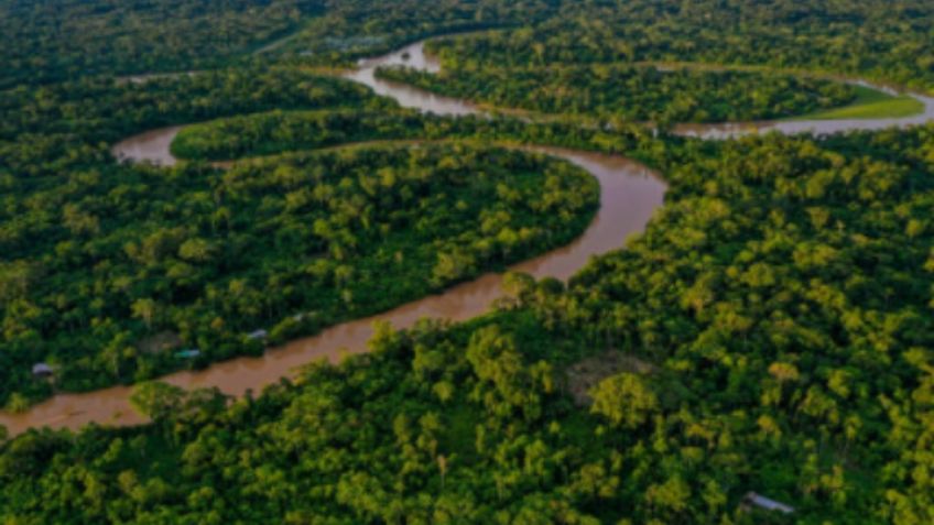 La Amazonía perdió en 36 años un área equivalente a Chile, alerta estudio