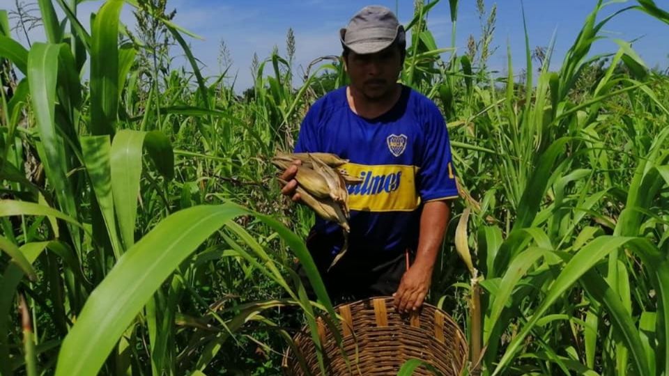 La producción de alimentos ha aumentado, a pesar de eventos adversos como sequías o la pandemia.