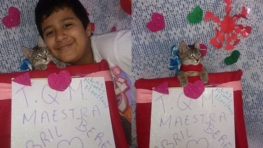 Gatita que acompañaba a su dueño en clases virtuales “se gradúa” y se hace viral:  FOTOS