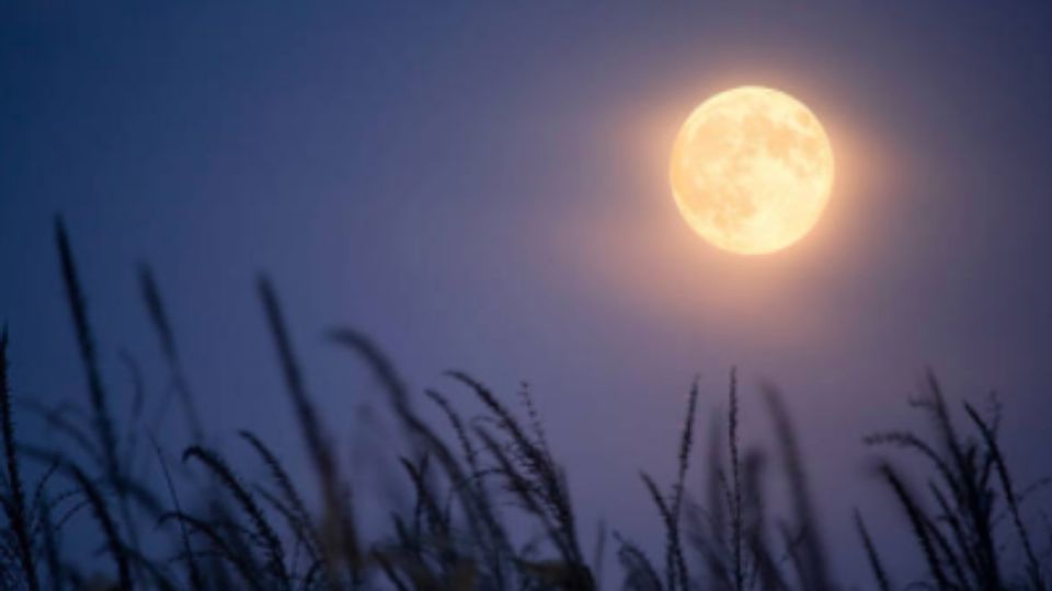 Cuándo y cómo afecta la 'Luna de la Cosecha'. Foto: iStock