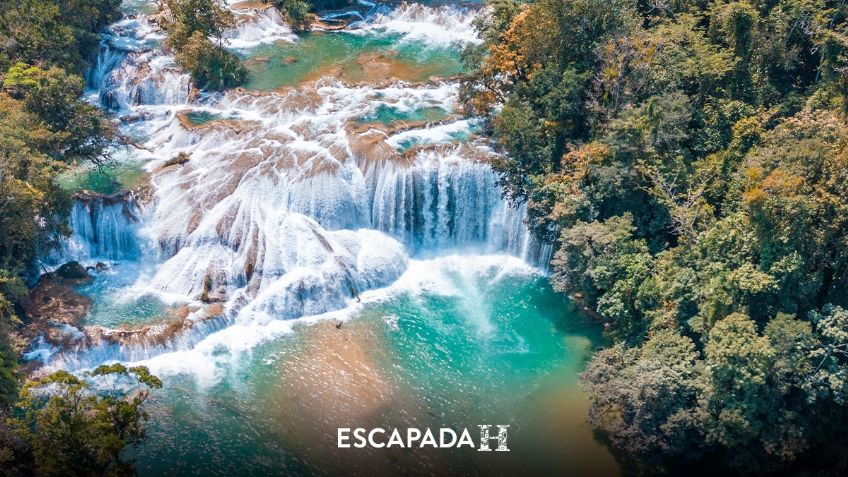 Viaje al corazón de la selva Lacandona