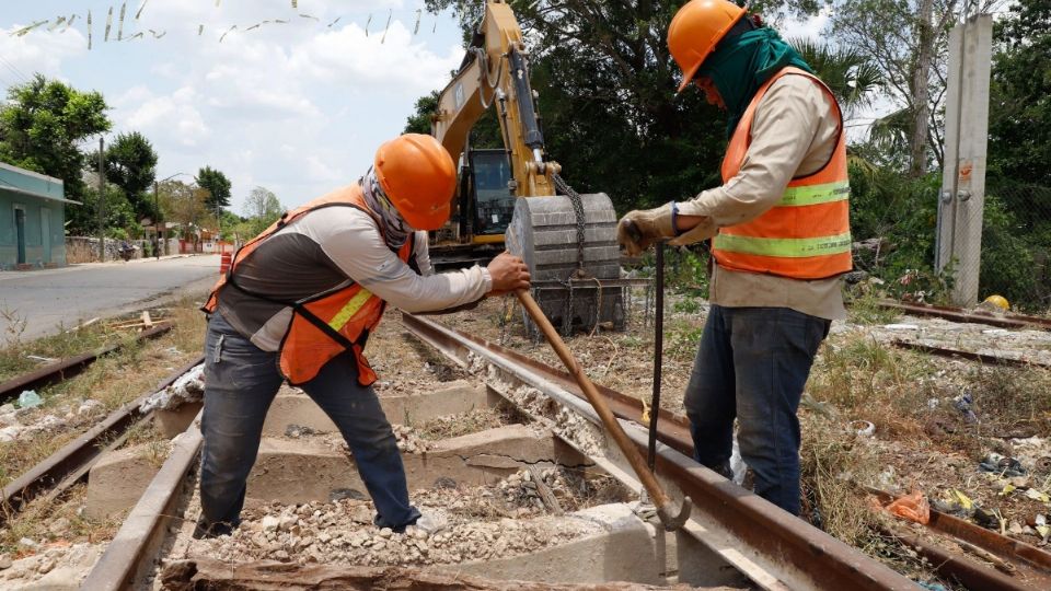 Modificaciones al Tren Maya. Foto: Archivo / CUARTOSCURO