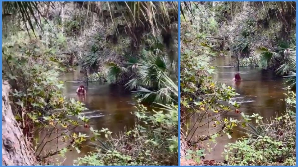 La joven fue captada en video por un par de turistas en la Florida
(Foto: Twitter @ActualidadRT)