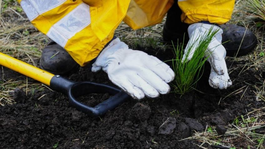 Inicia capacitación para empleo verde en la Ciudad de México