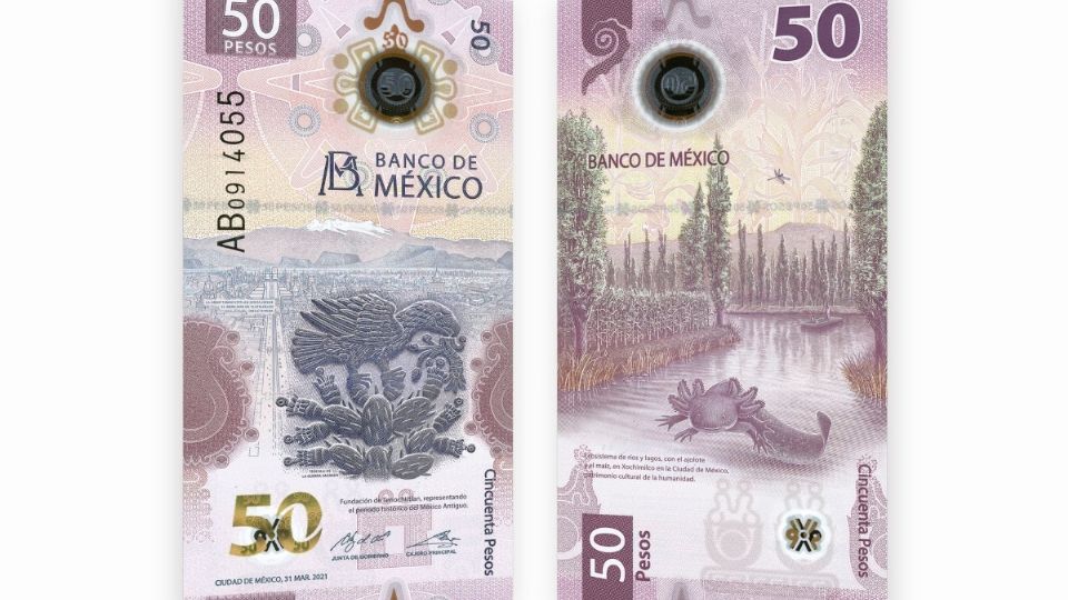 Imagen ilustrativa del nuevo billete de 50 pesos. Foto: Especial