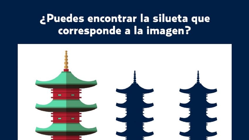 TEST Visual: Encuentra la silueta que coincide con la imagen, sólo tienes 5 segundos para lograrlo